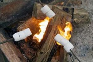 Campfire fire pit marshmallows