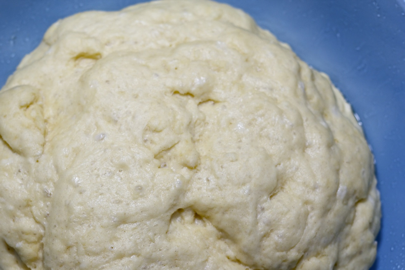 Parmesan & Proscuitto Loaf Dough