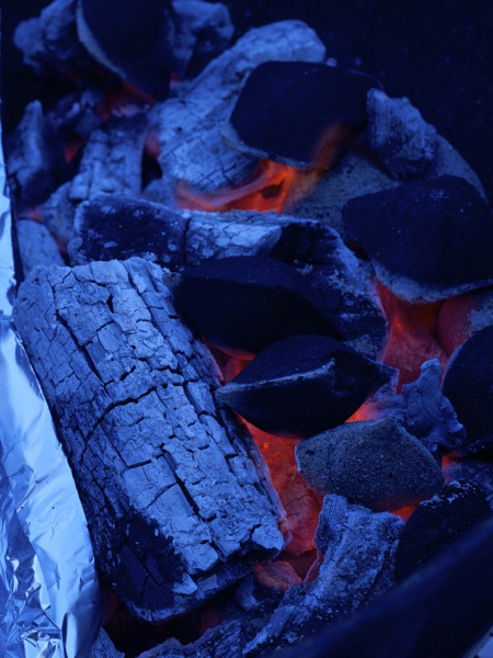 Quelle est la différence entre le charbon de bois horticole et le charbon de bois en morceaux