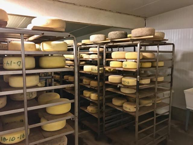 many-types-of-pedrozo-cheese | Traveling 4 Food | Gary House